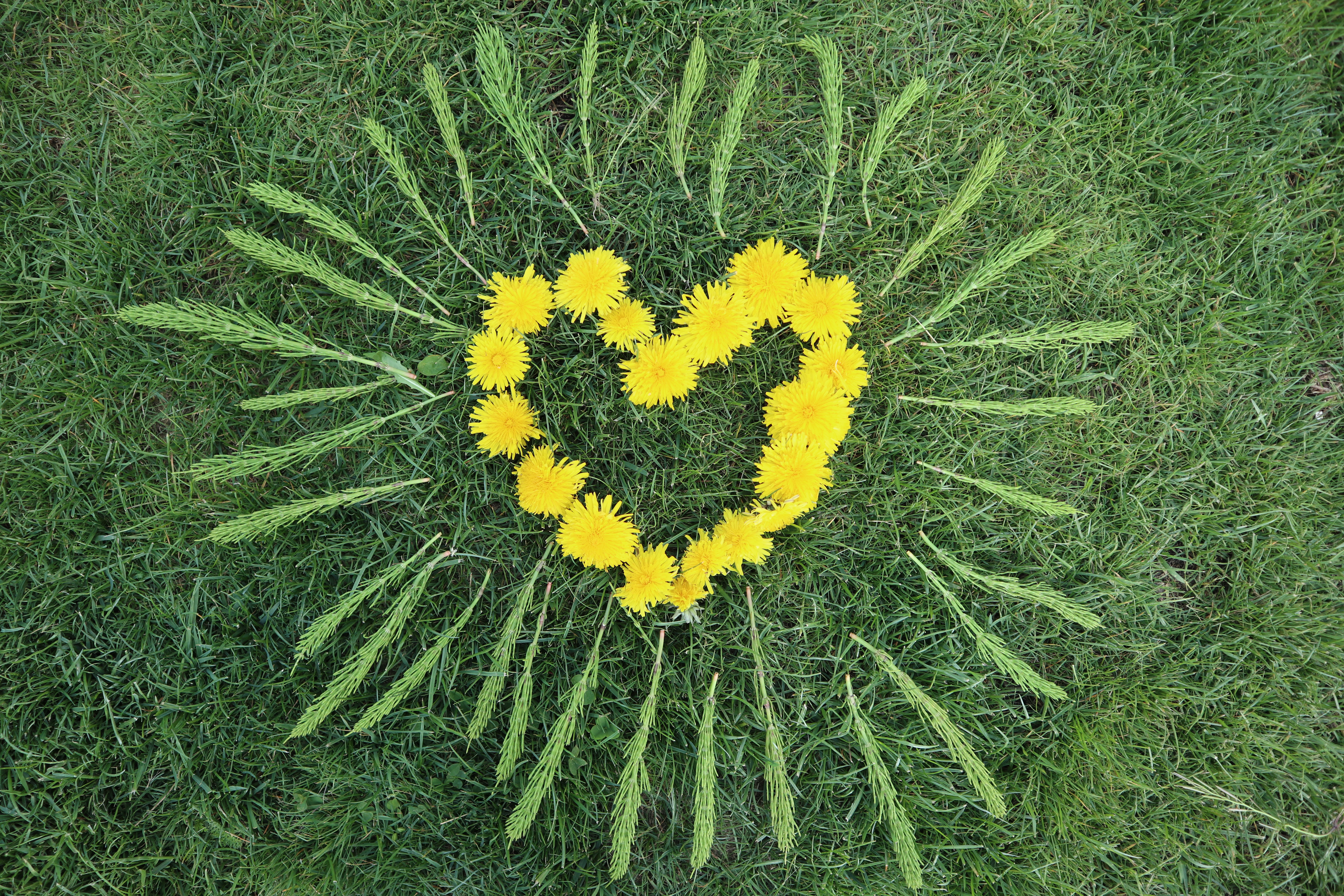 Art in Nature! Art Lesson and Activity Idea for Kids and your Classroom