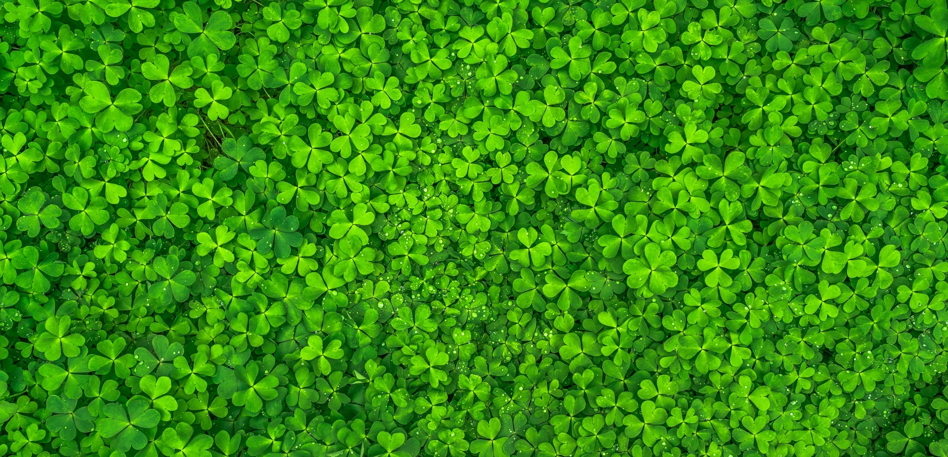 3 St. Patrick's Day Art Lesson Ideas that use Choice-Based Strategies