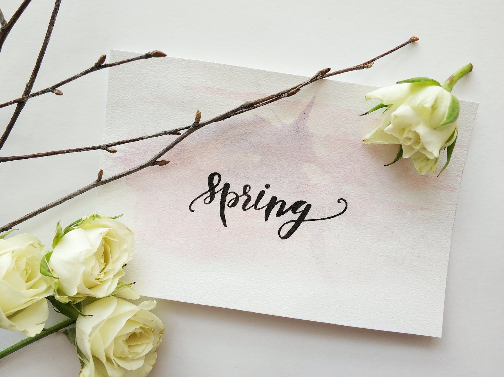 5 Spring Directed Drawing and Art Tutorials