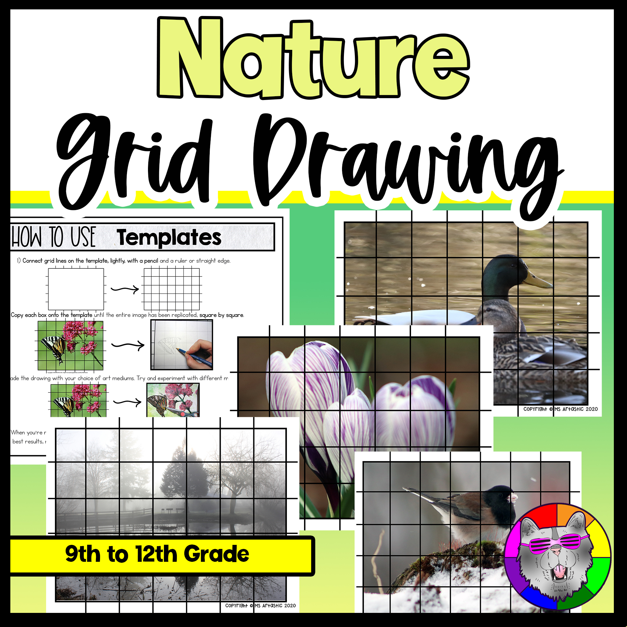 Grid Drawing Practice for Middle & High School, Drawing Skills for Homeschool